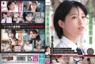 YDNS-003 Train Sex Punishment #003