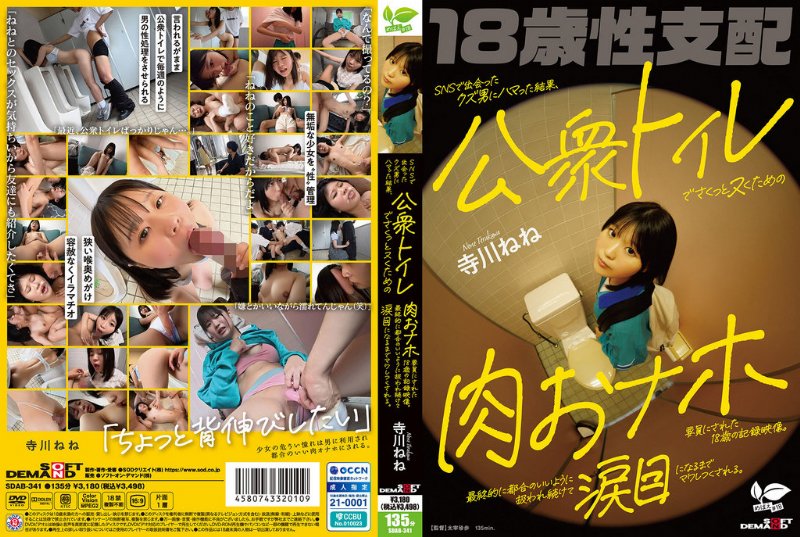 yesjav101.com-SDAB-341 SNSで出会ったクズ男にハマった結果、公衆トイレでさくっとヌくための肉おナホ要員にされた18歳の記録映像。最終的に都合のいいように扱われ続けて涙目になるまでマワしつくされる。 寺川ねね